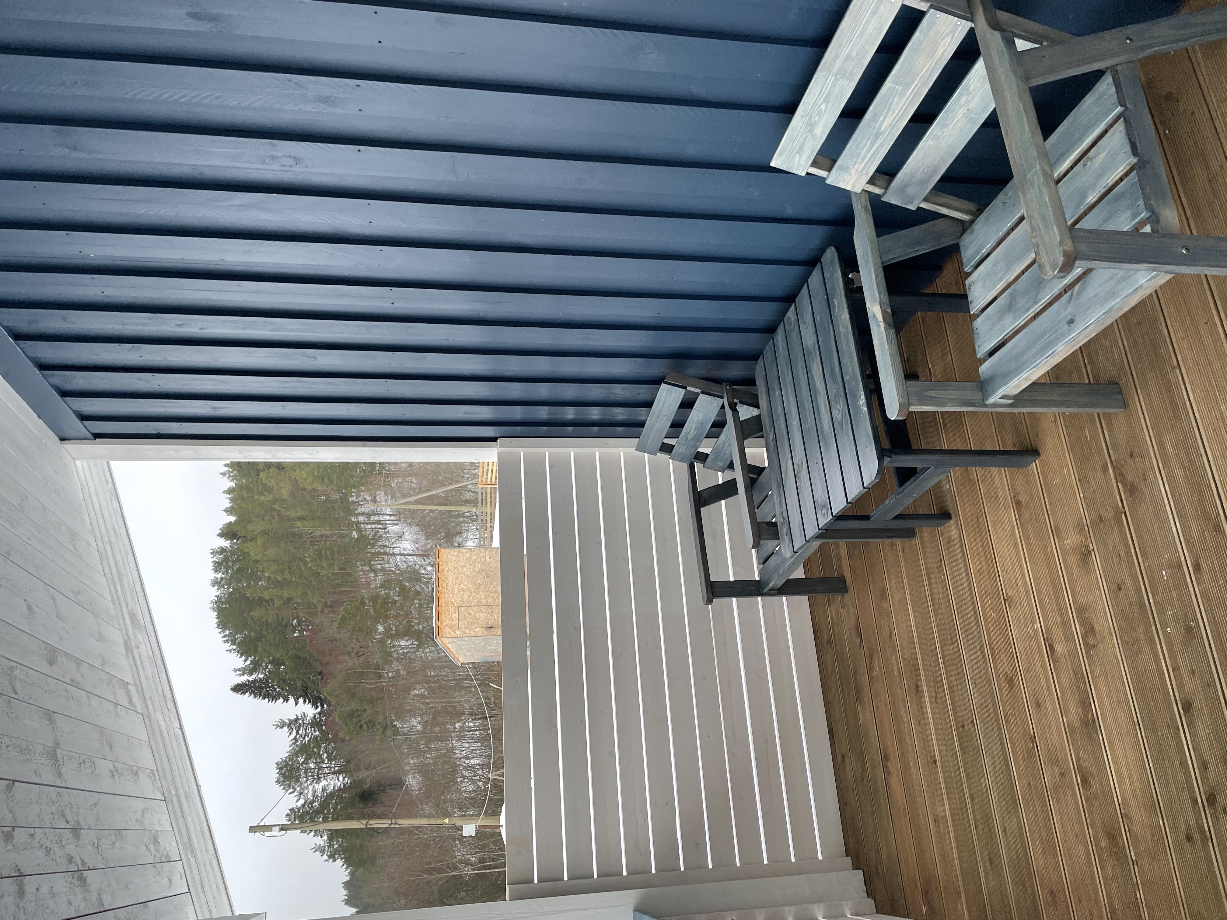 Фото Черника в Сонном заливе