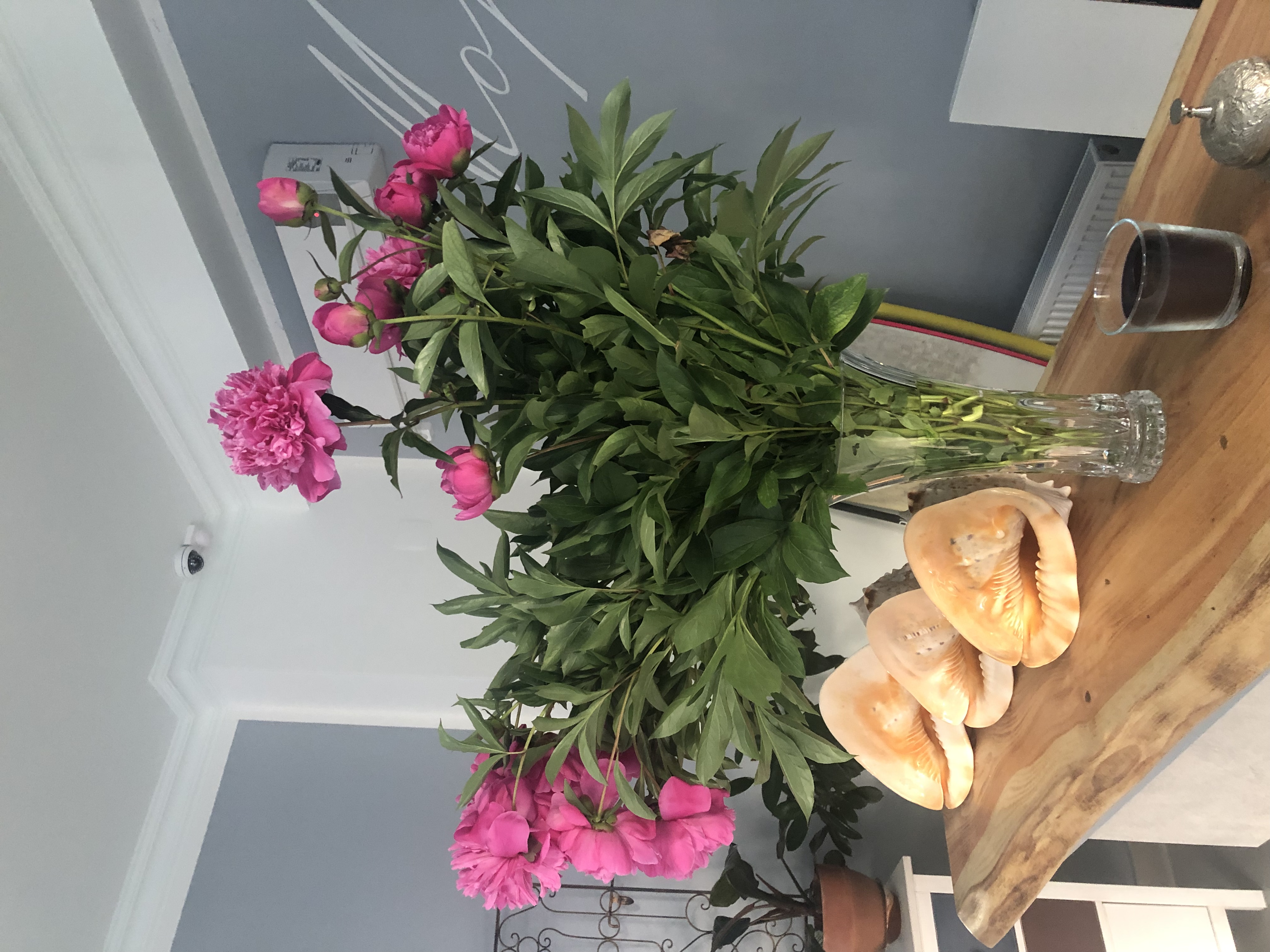 Фото Симирам