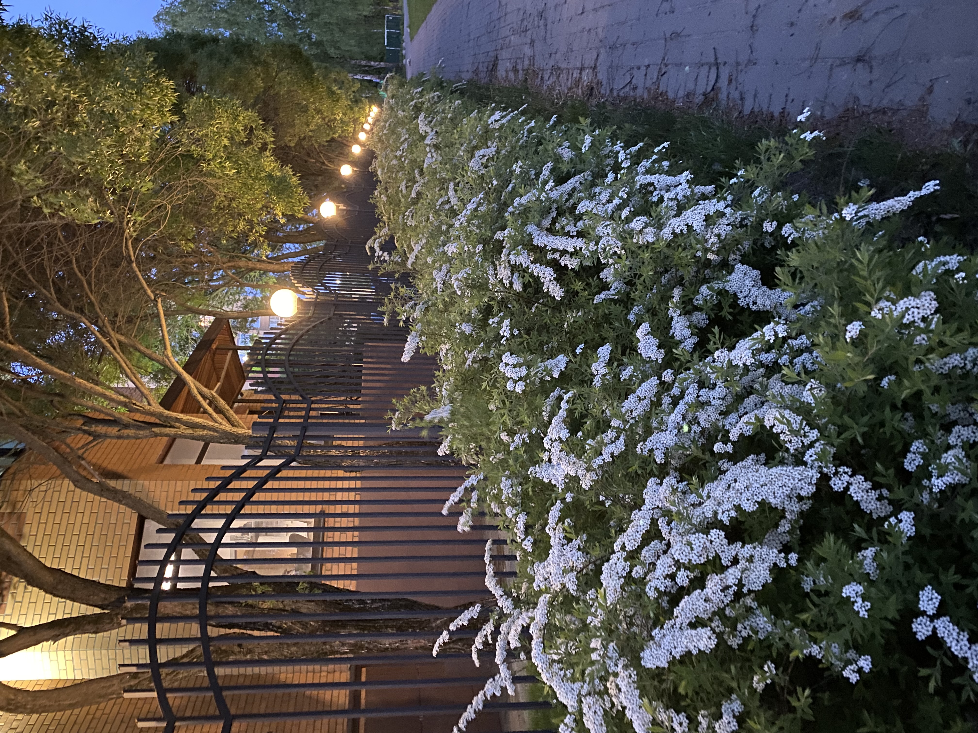 Фото Барселона