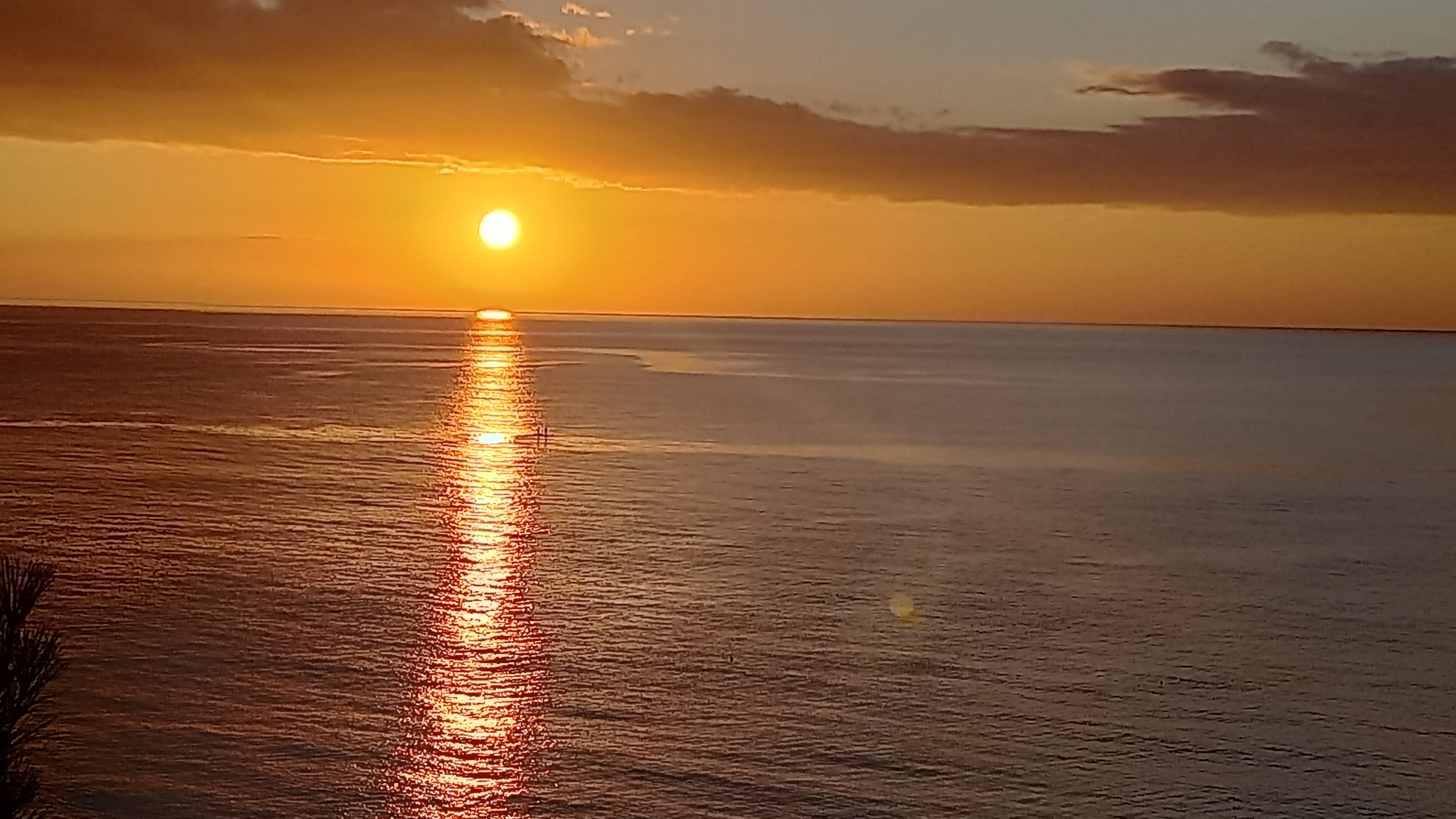 Фото Престиж