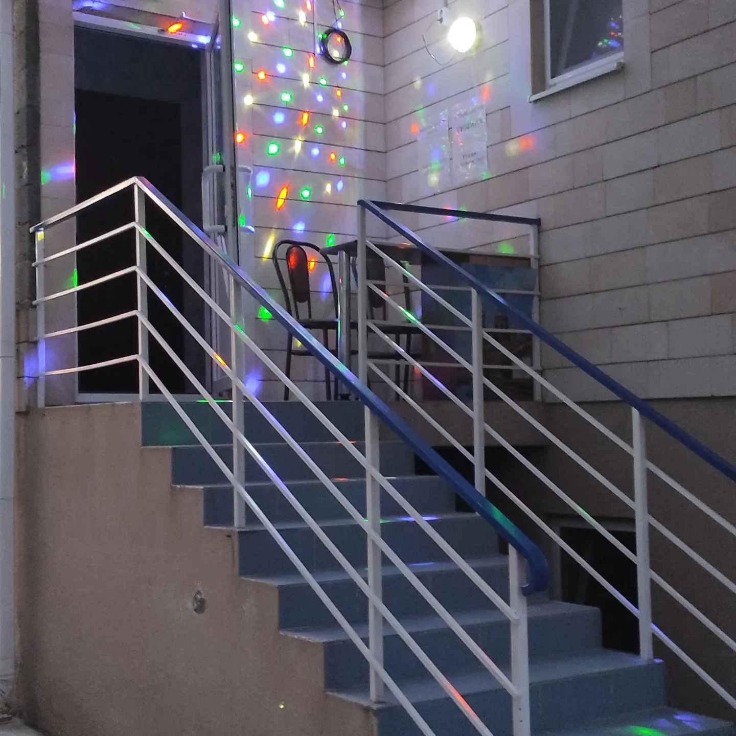 Фото Афалина