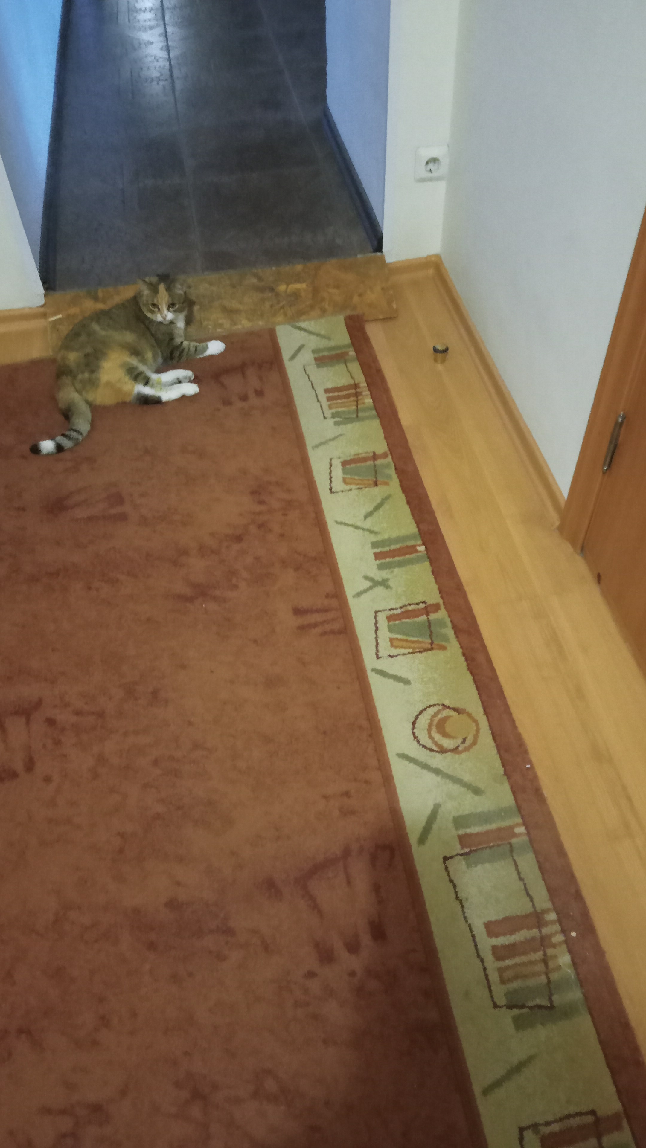 Фото Каркушин Дом