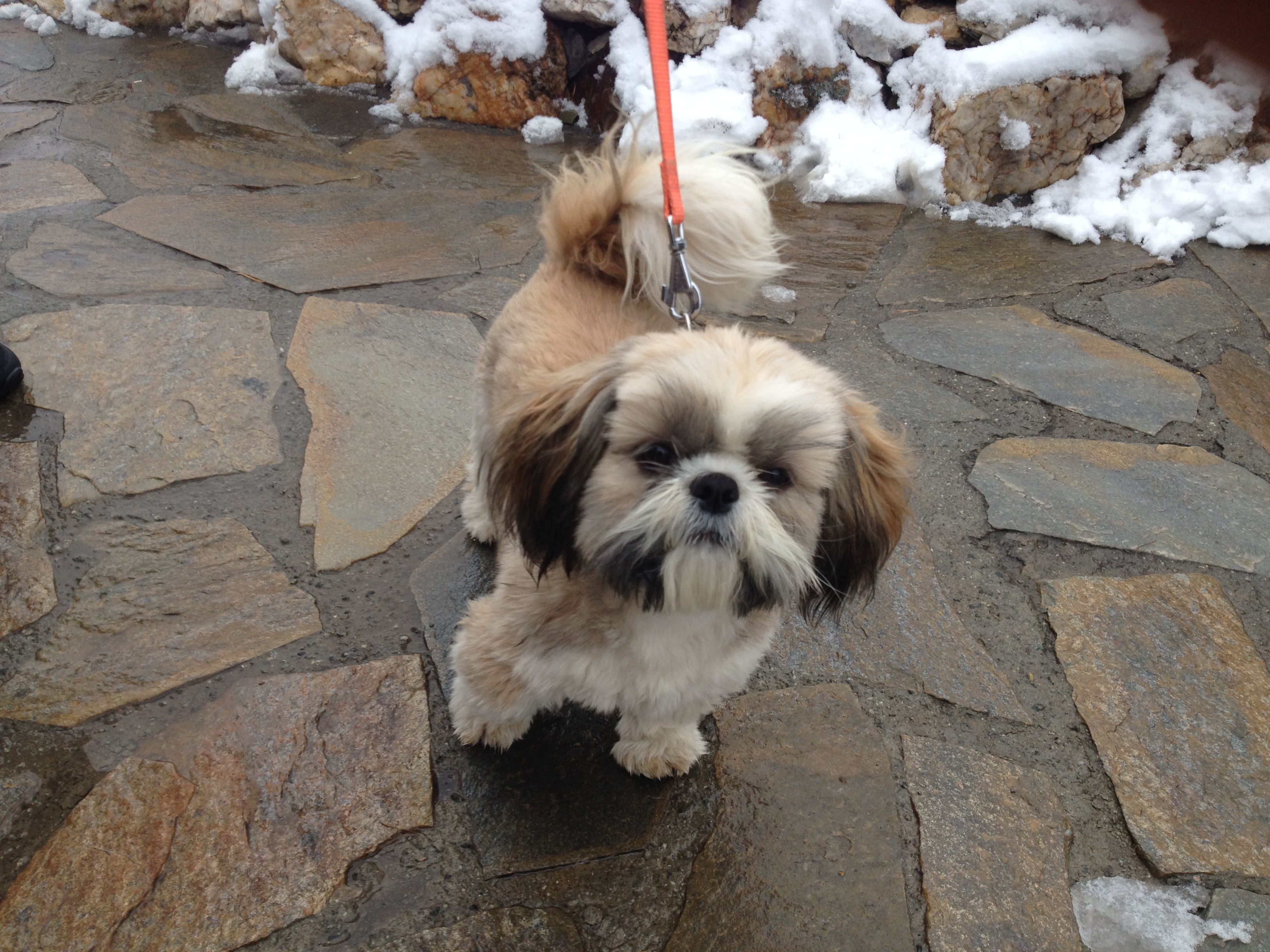 Фото Резиденция 888