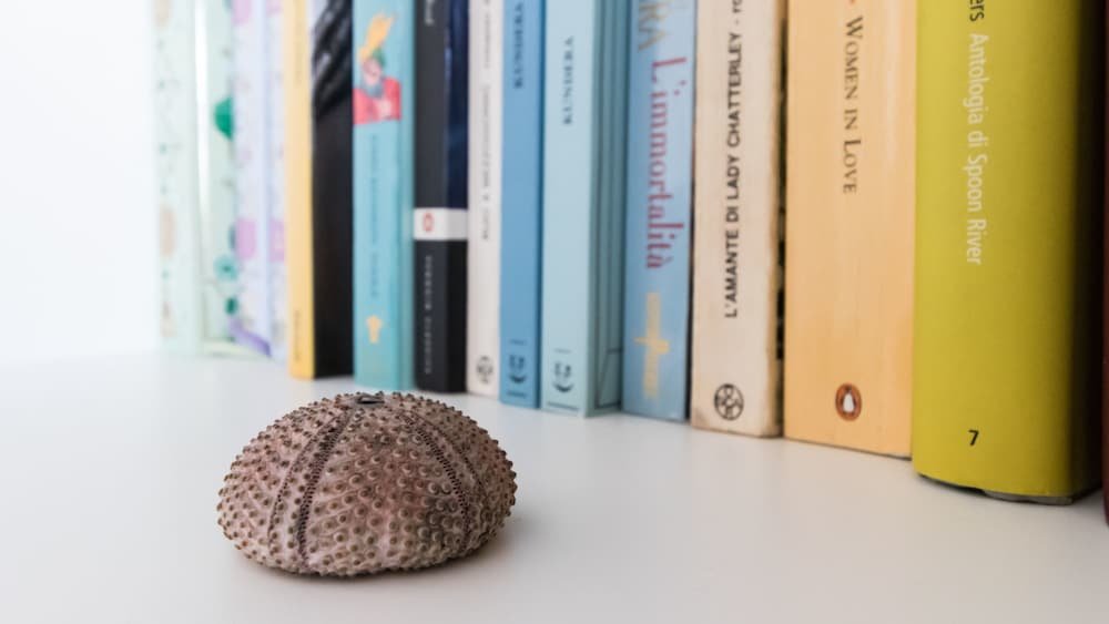 Фото Italianway - Bramante 35