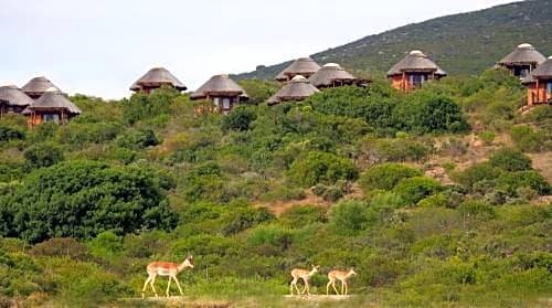 Фото Garden Route Game Lodge