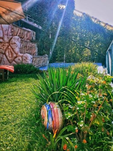 Фото Sapar Standart Hotel