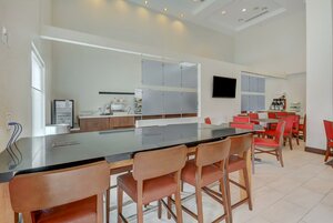 Гостиница Holiday Inn Express & Suites Tampa Usf Busch Gardens, an Ihg Hotel