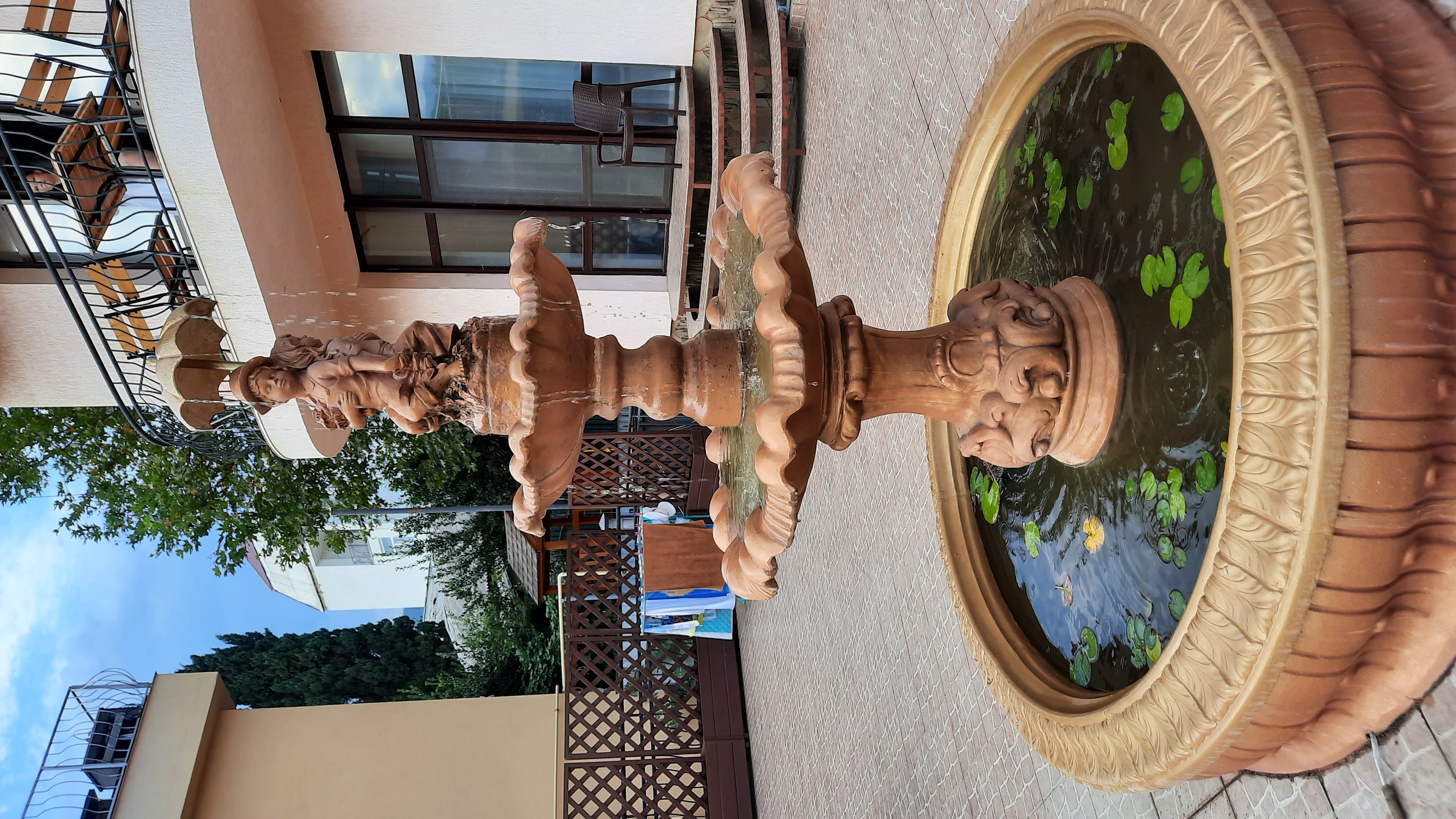 Фото Фламинго