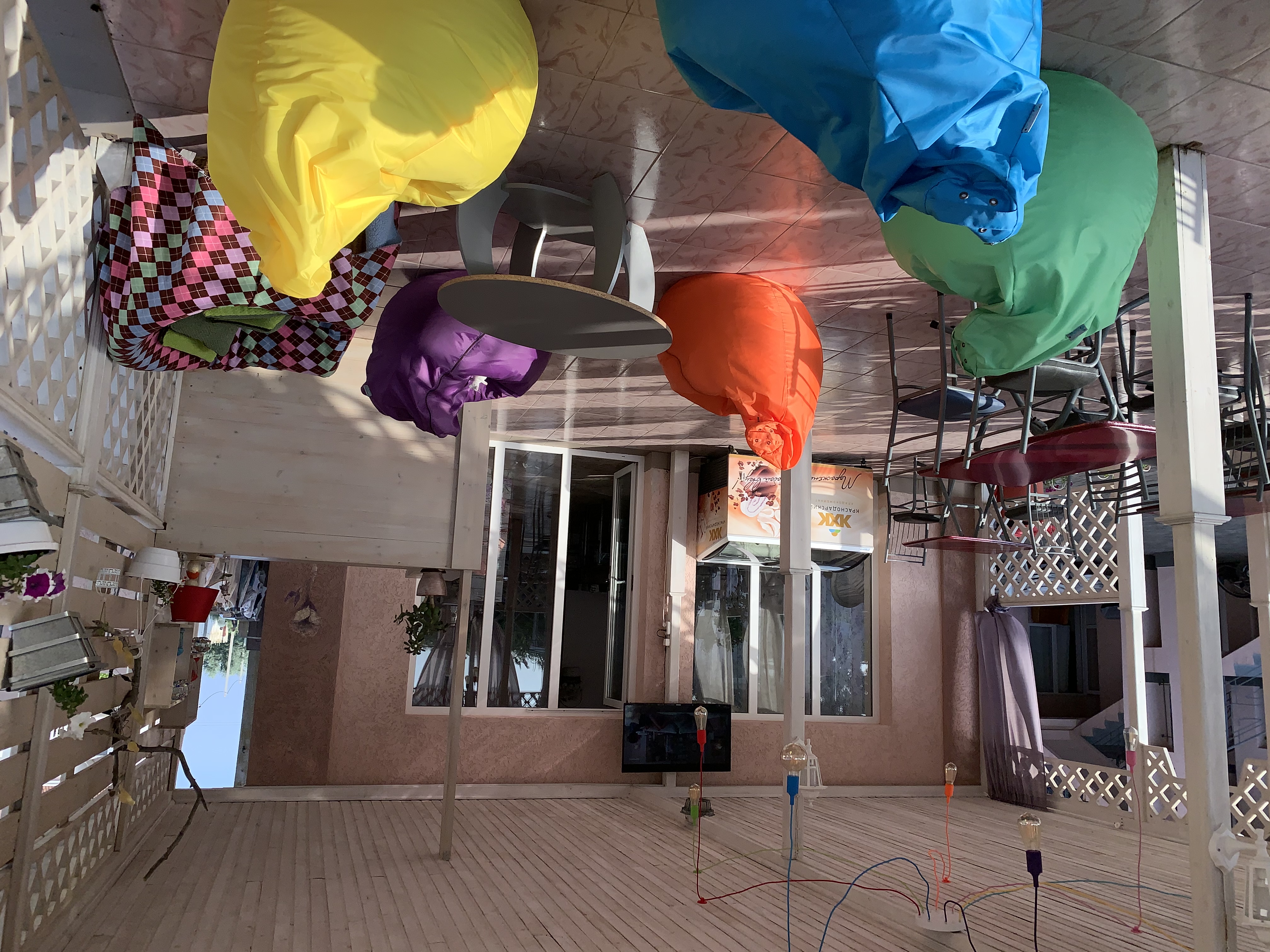 Фото Шафран