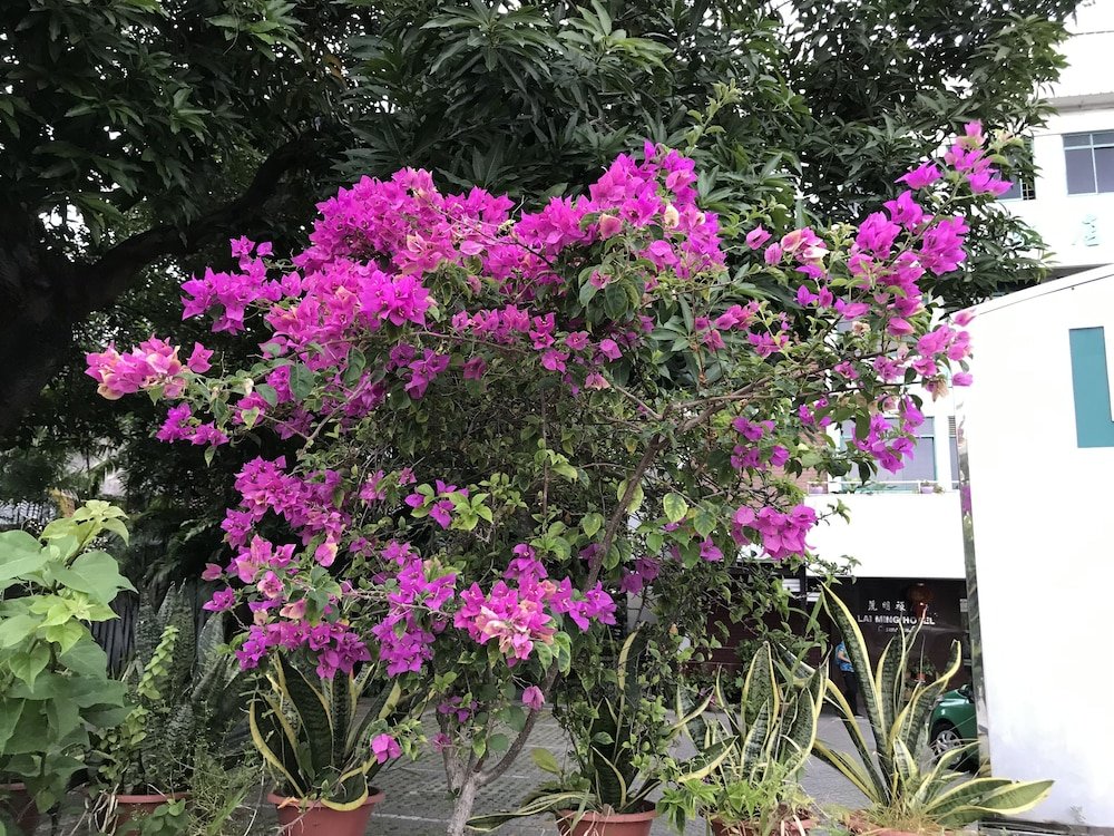 Фото Lai Ming Hotel Cosmoland