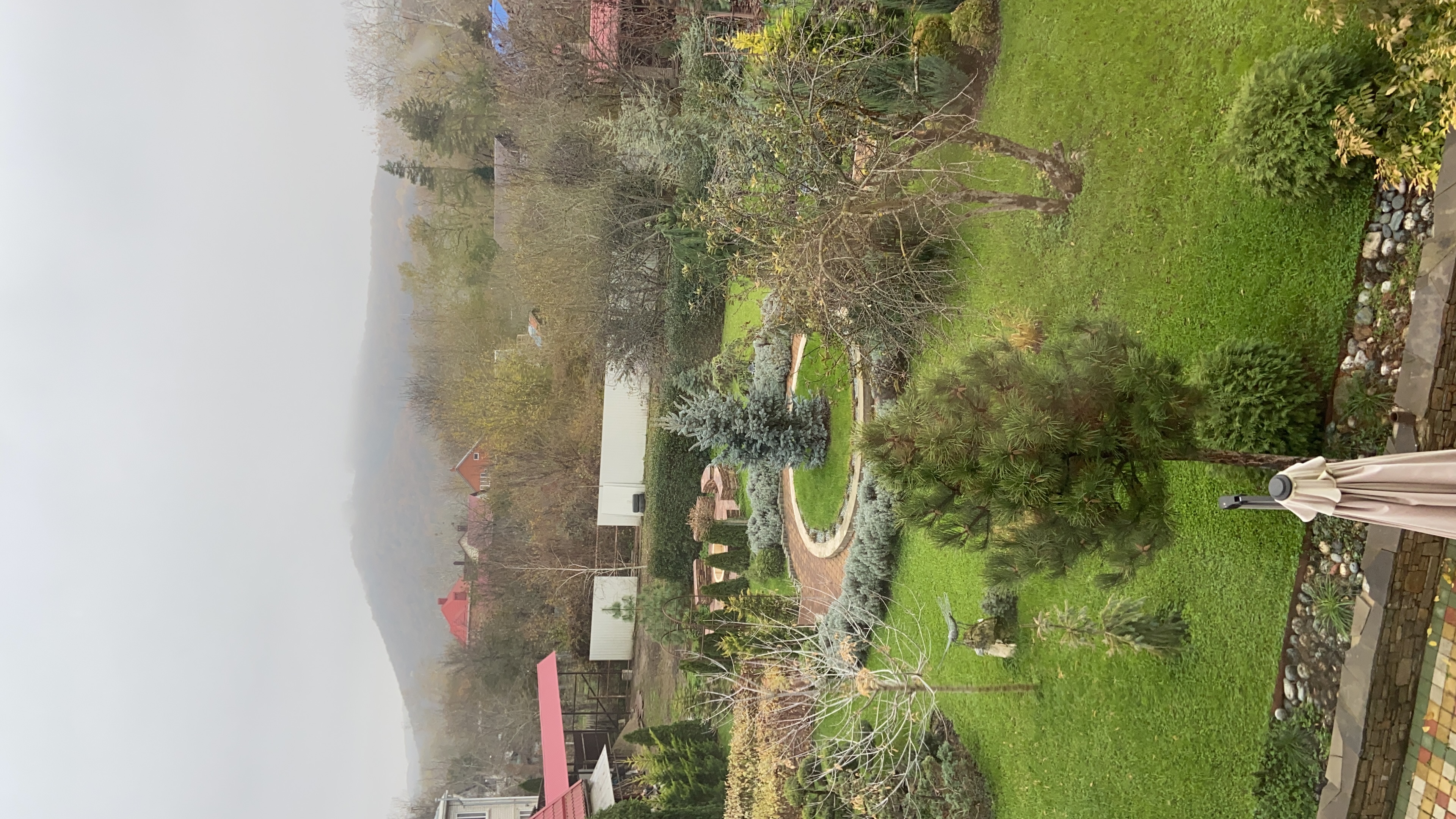 Фото Саксония