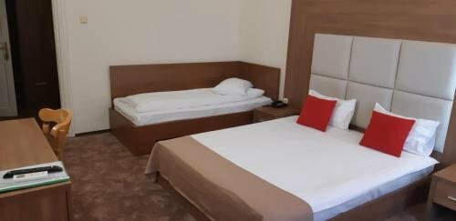 Гостиница Hotel Panoramic в Вылче