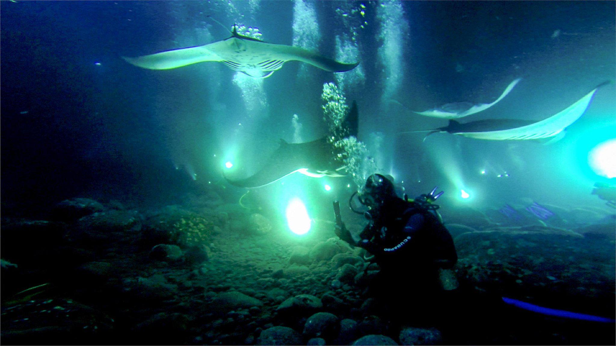 Фото Holiday Inn Express Hotel & Suites Kailua-Kona, an Ihg Hotel