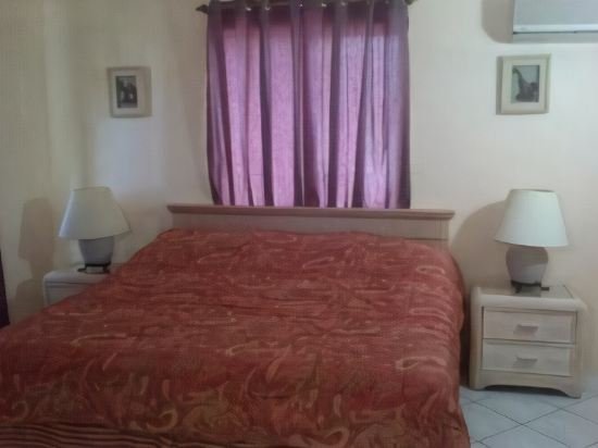 Фото Palm Beach Vacation Villa