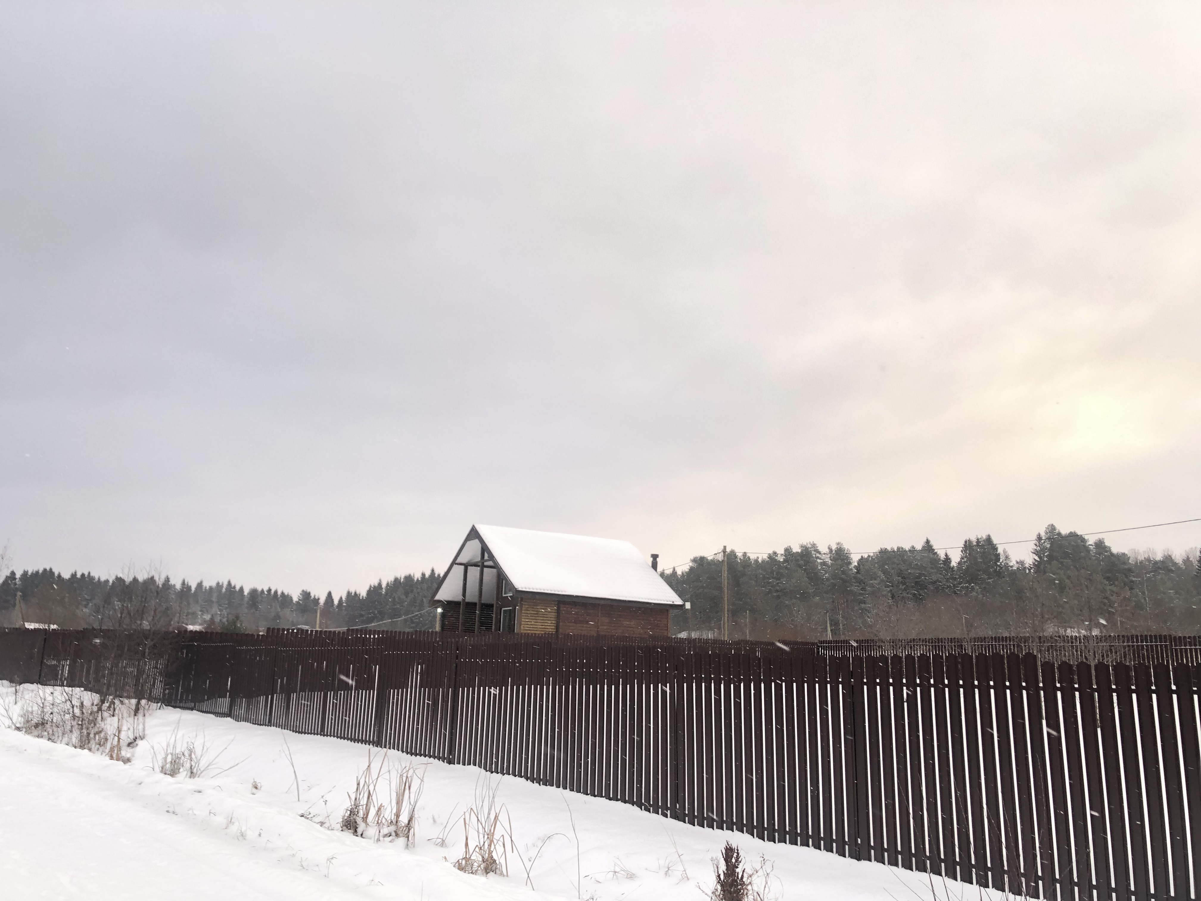 Фото Сонный залив