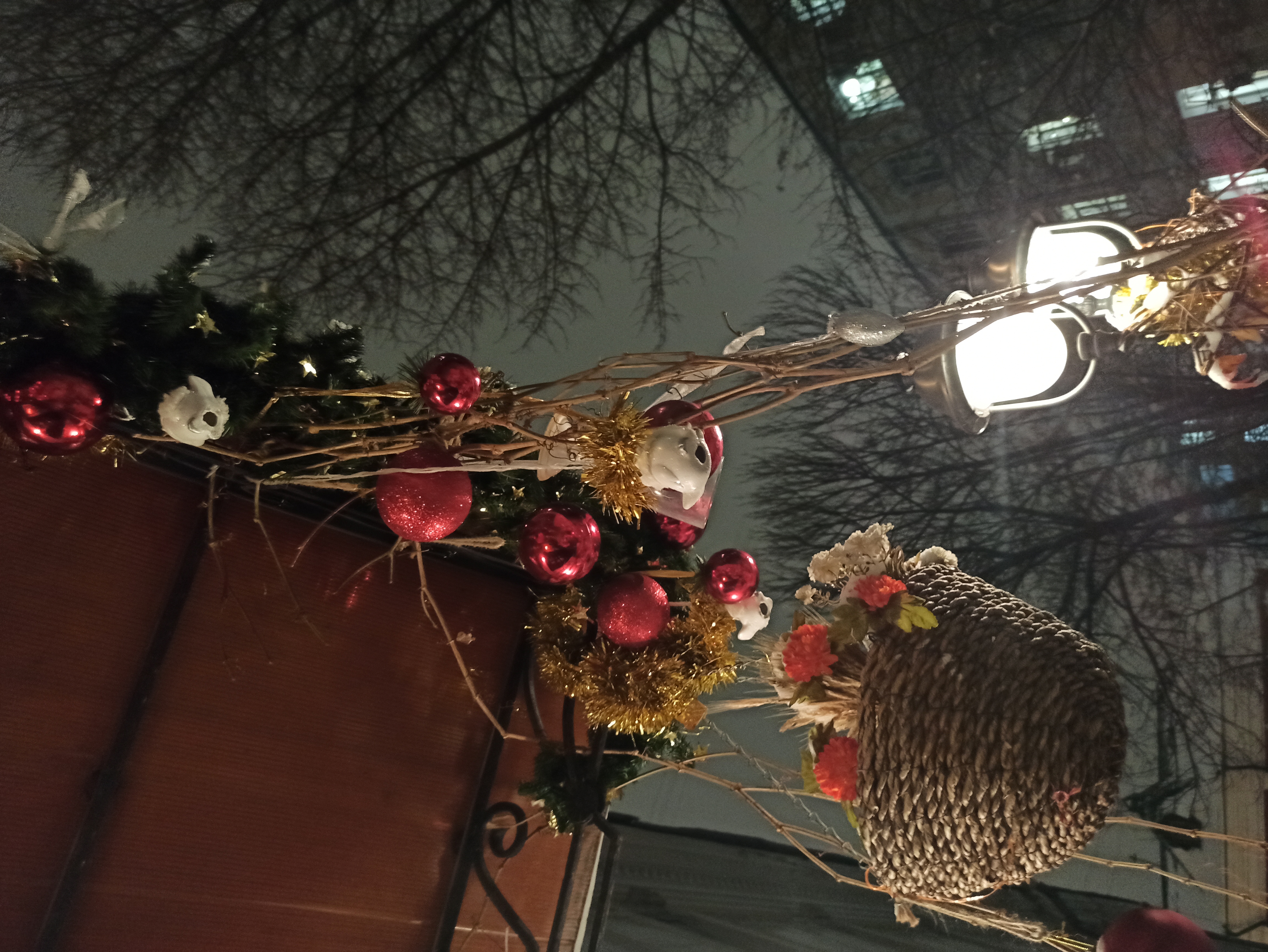 Фото Сверчков 8