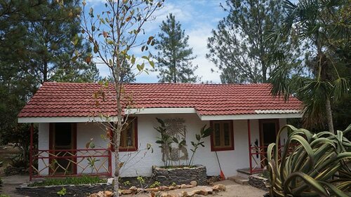 Гостиница Pine Ridge Lodge в Кайо