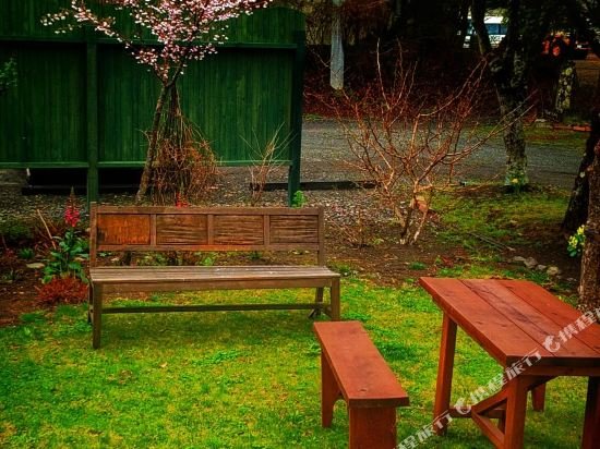 Фото Pension Cottontail