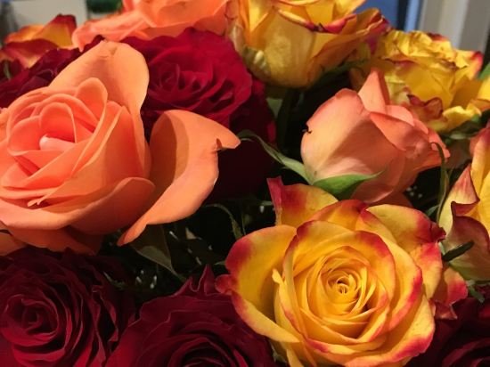 Фото Hotel Löwenguth