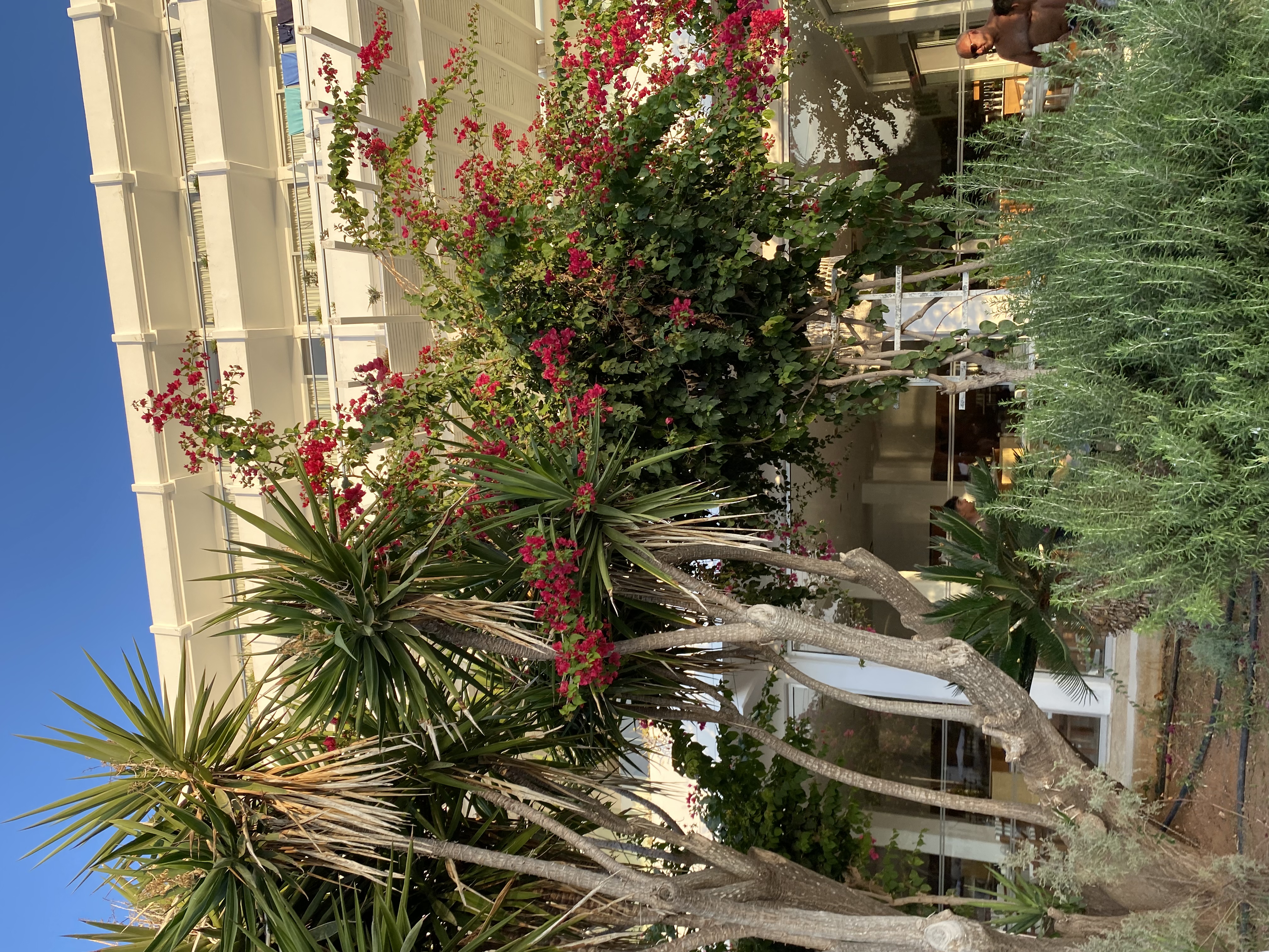 Фото Grecian Sands Hotel