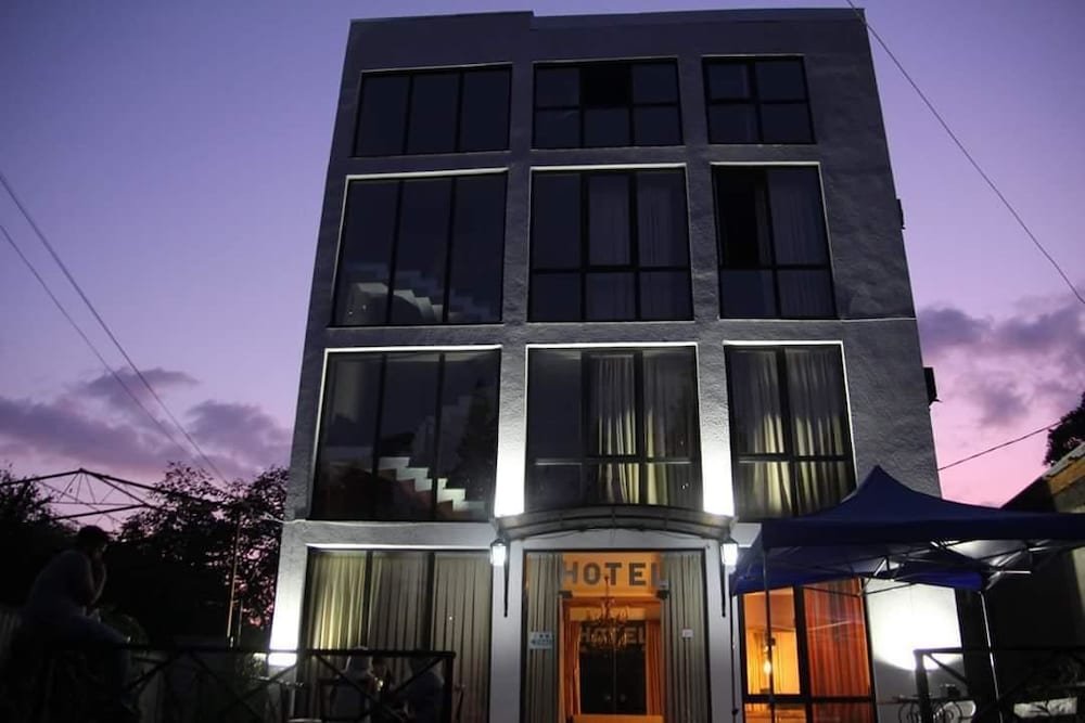 Фото Отель Давид