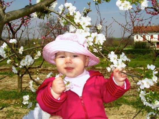 Фото Agriturismo La Vecchia Fonte