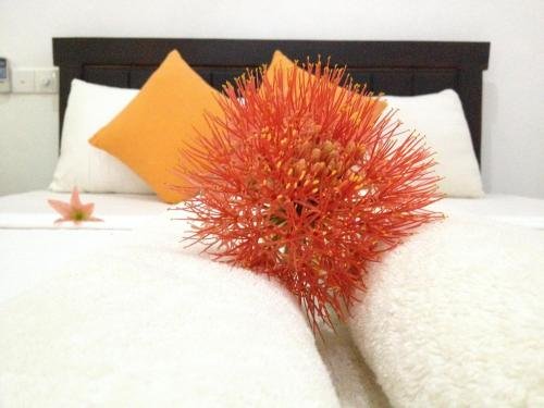 Фото N. L. I. Guest House