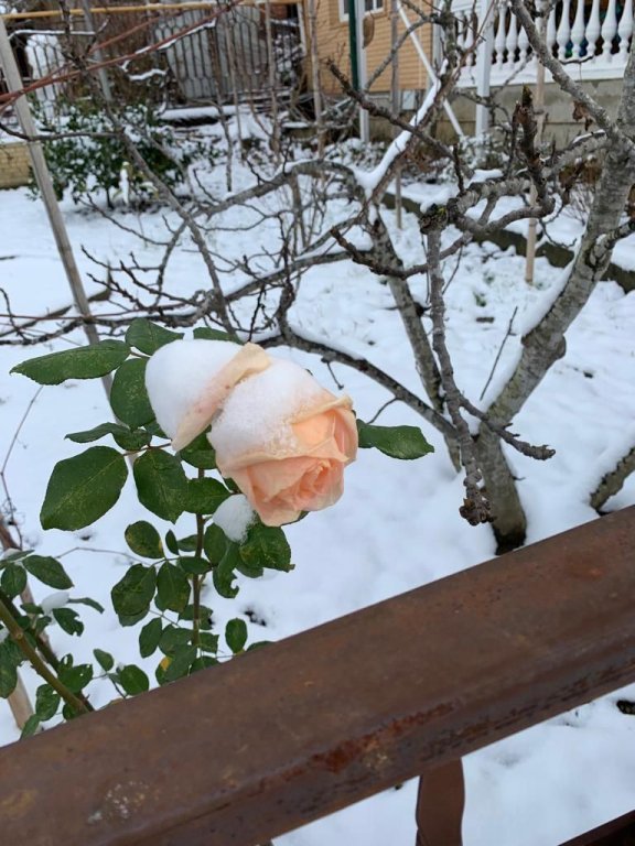 Фото М-Отель