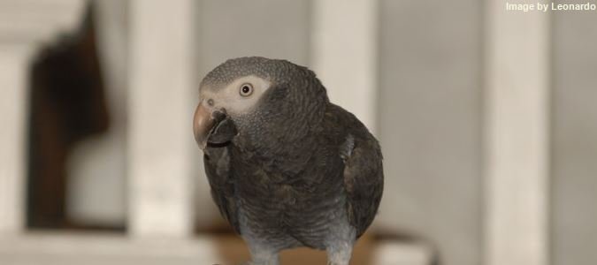 Фото Seminole Inn