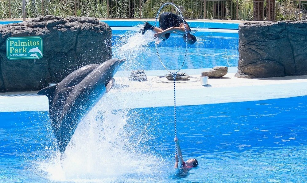 Hotel Sea Stars Las Canteras, Las Palmas de Gran Canaria, photo