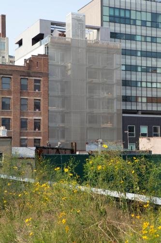 Фото Selina Chelsea