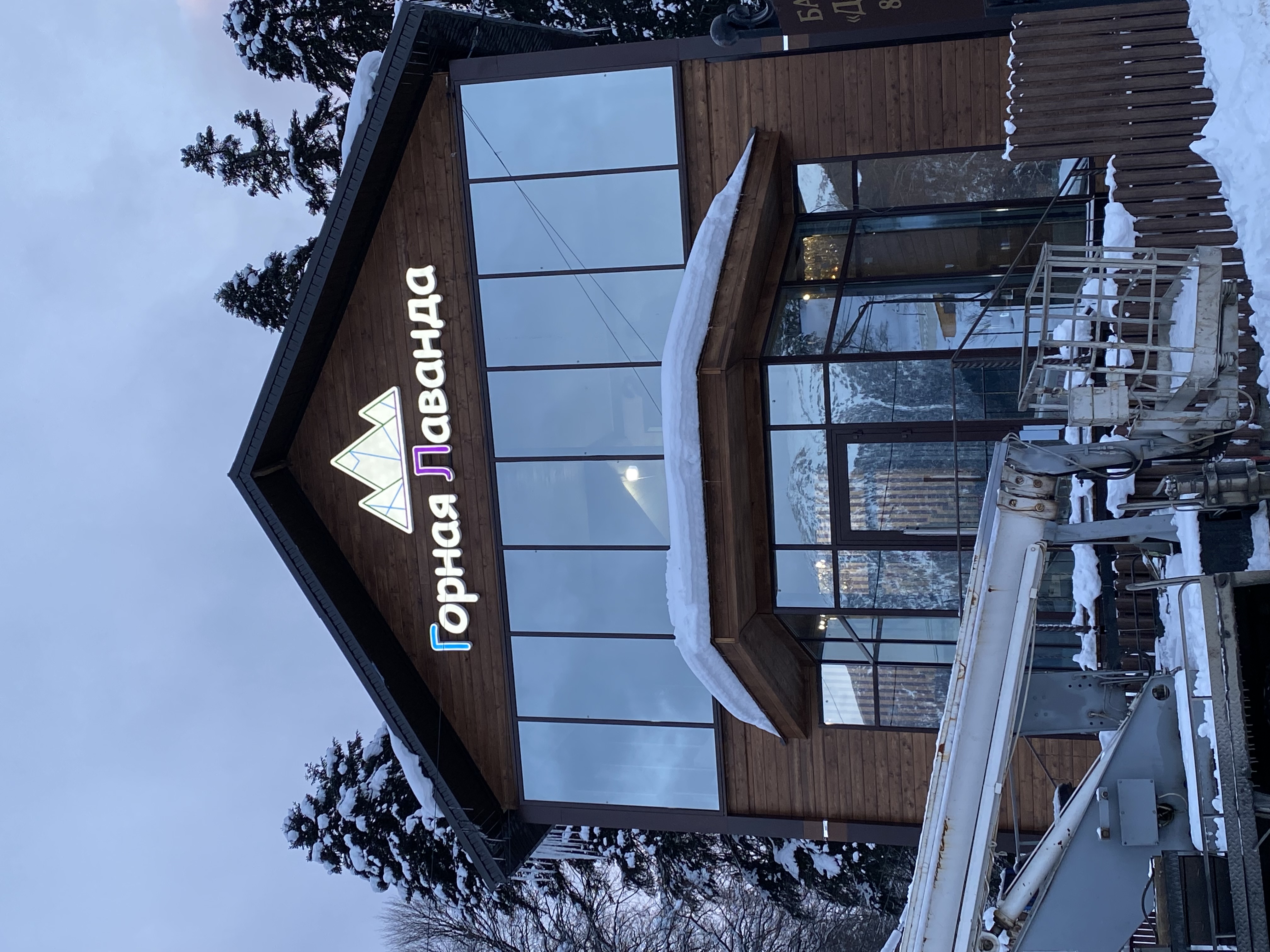 Фото Горная Лаванда