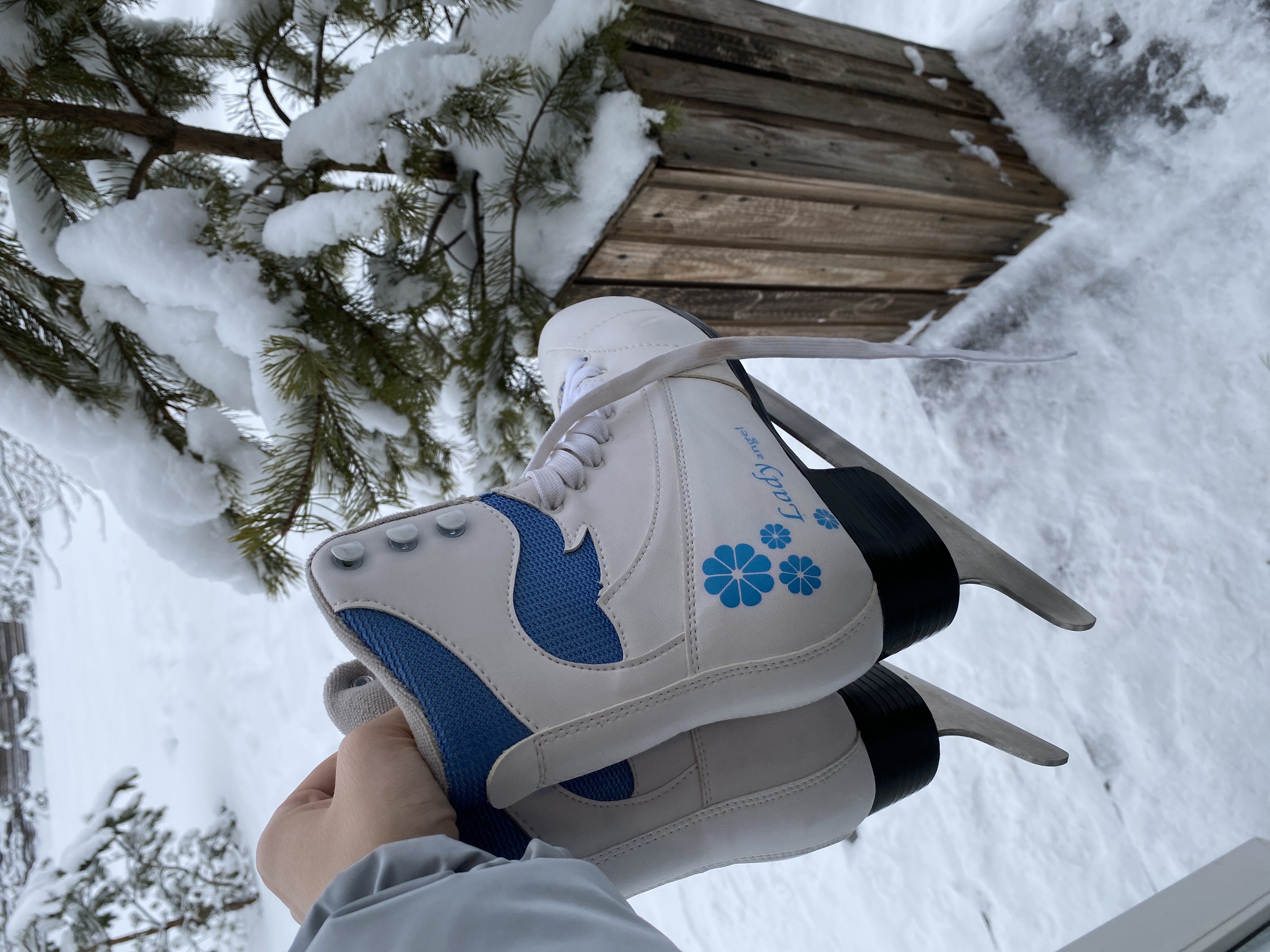 Фото Гусихаус