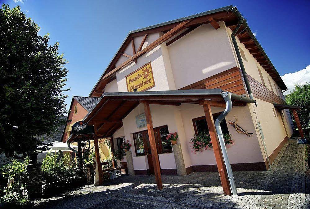 Фото Penzion Plesnivec