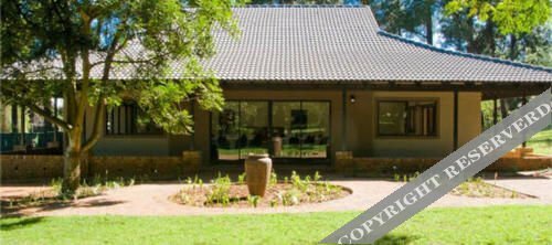 Hotel Big Tree B&B and GH, Earth, photo