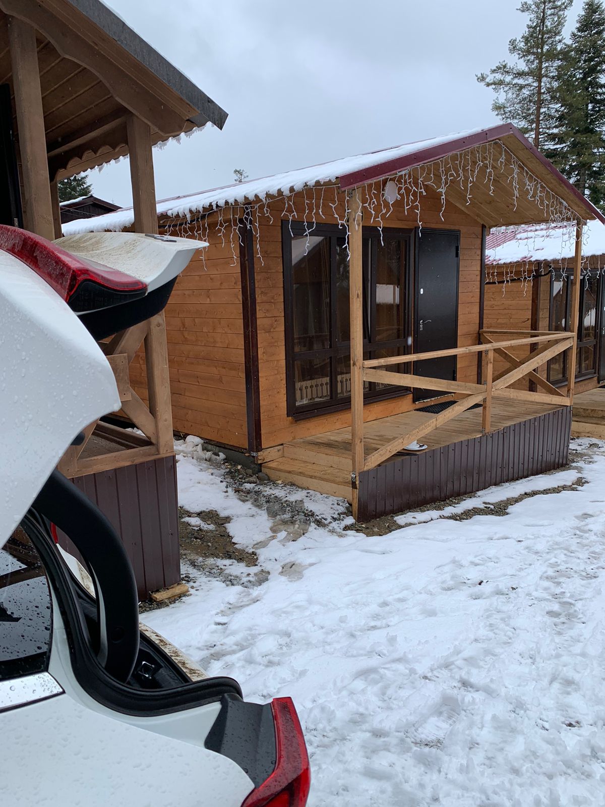 Фото Шаудан