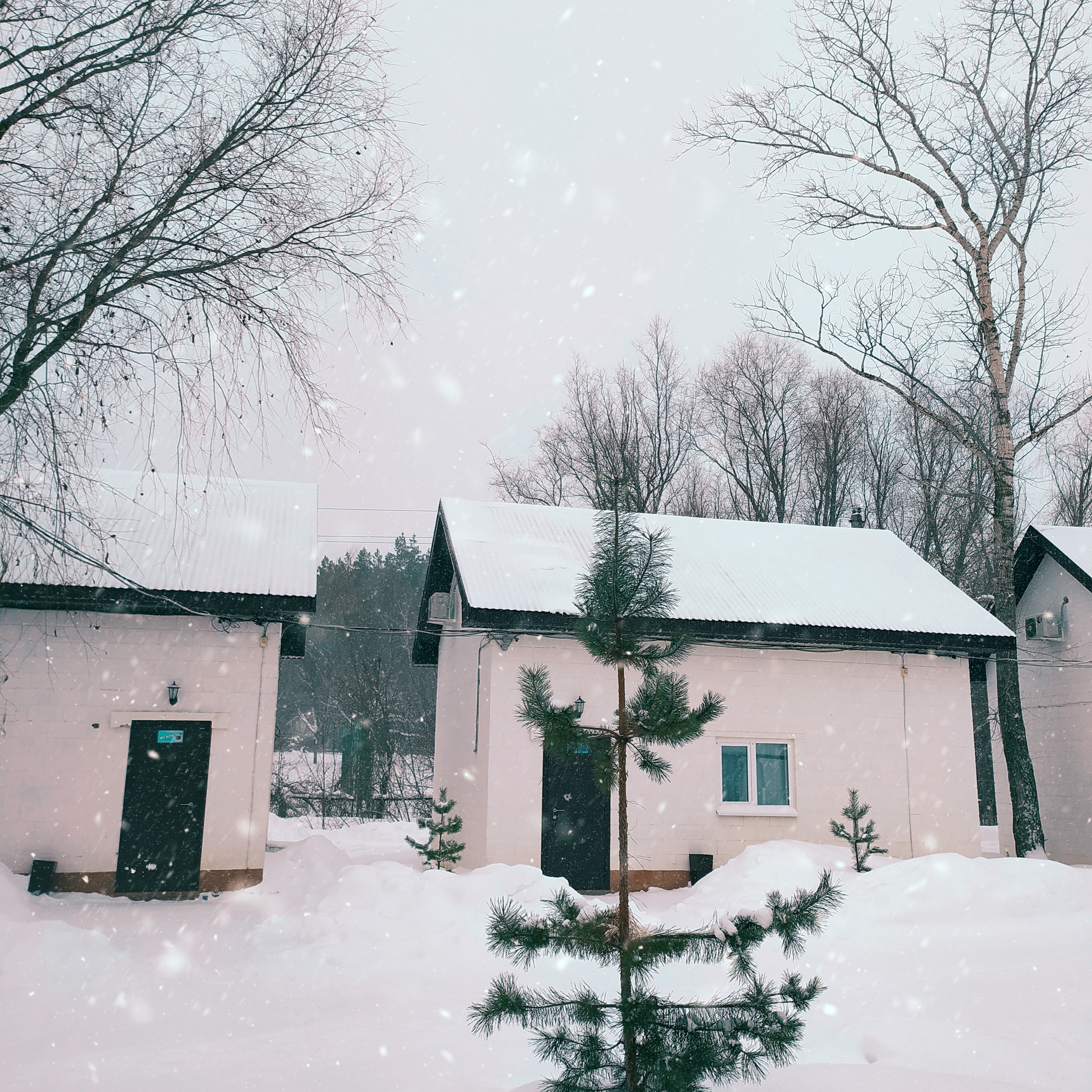 Фото 12 месяцев Везения