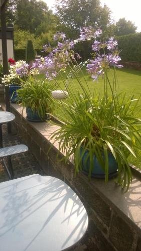 Фото Pension Margarethe