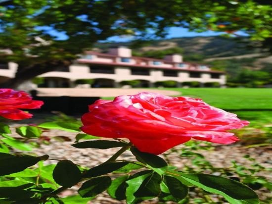 Фото WorldMark Clear Lake