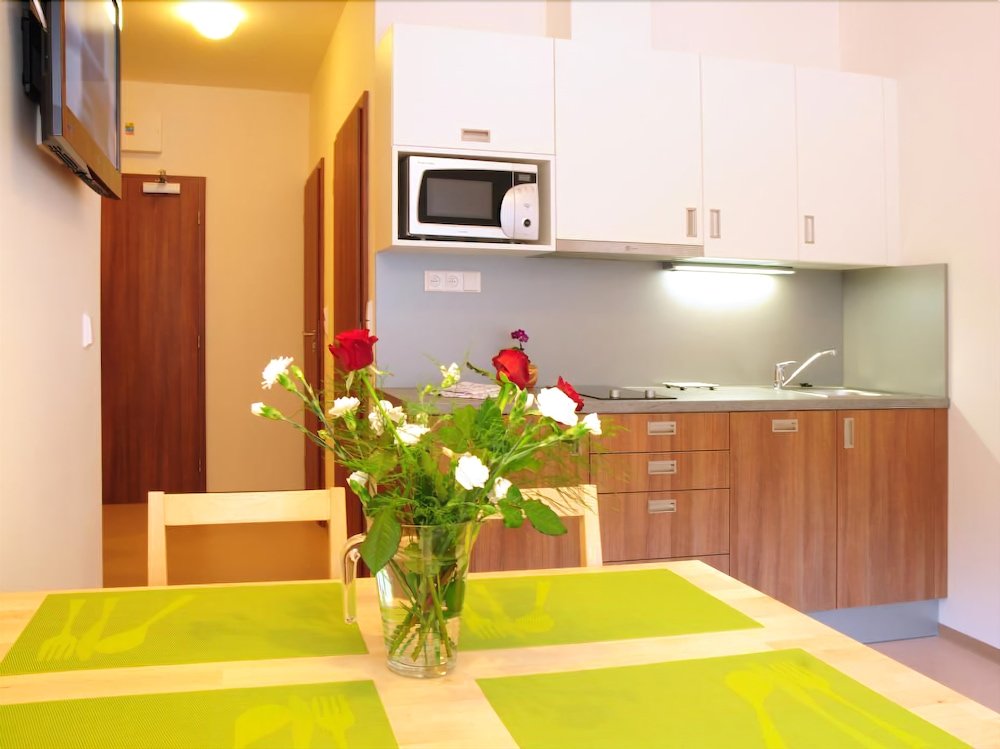 Фото Apartmány Rokytka Snowhouse