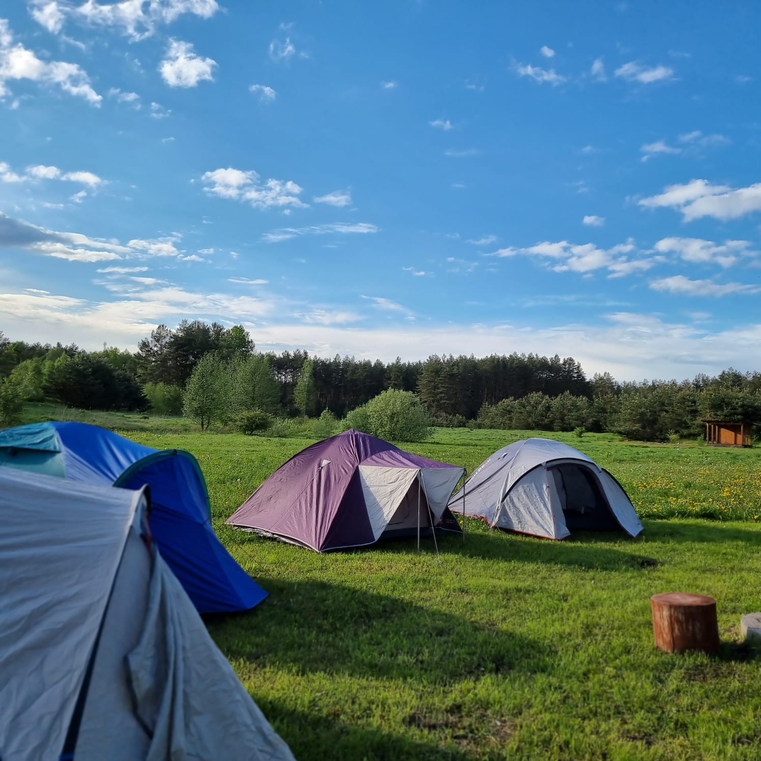 Фото Агроусадьба Лесной Эдем