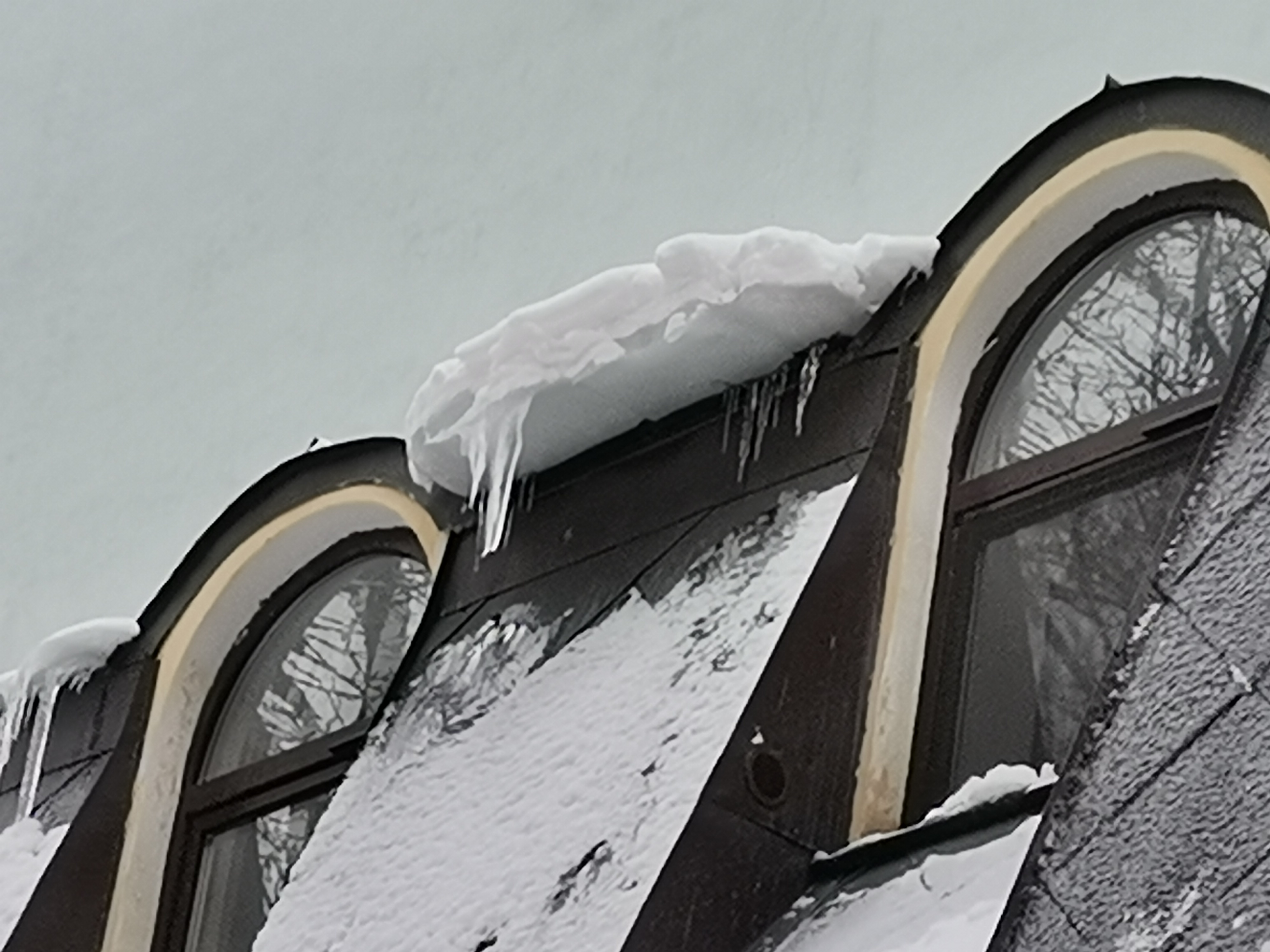 Фото Simple Эдельвейс