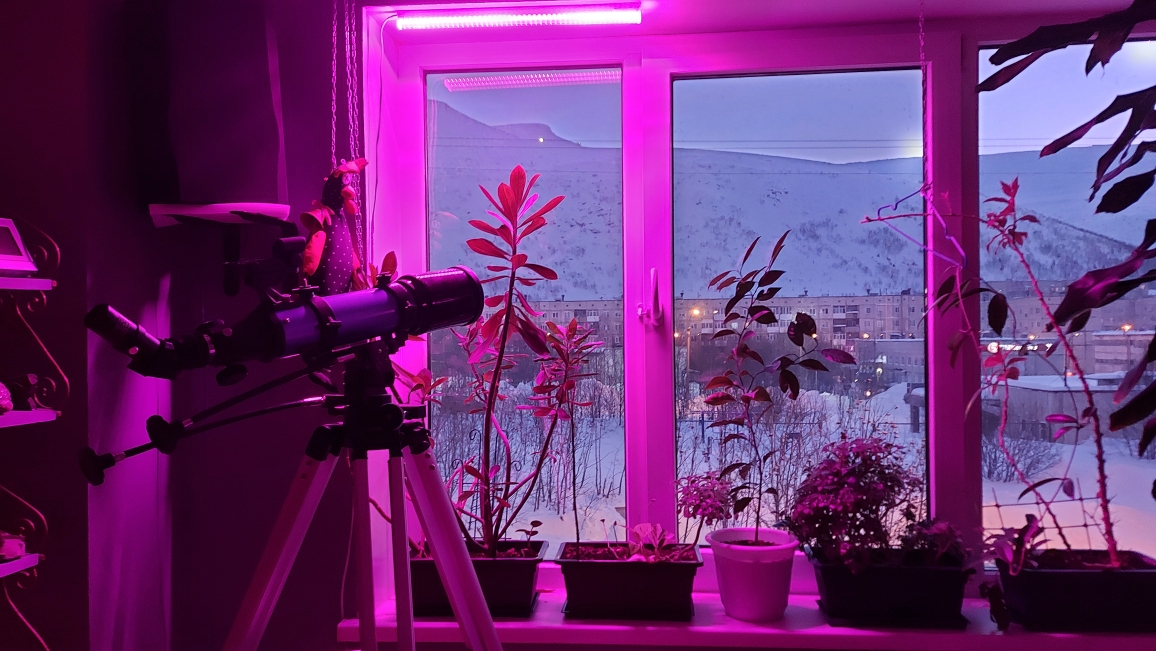 Фото Акка Книбекайзе