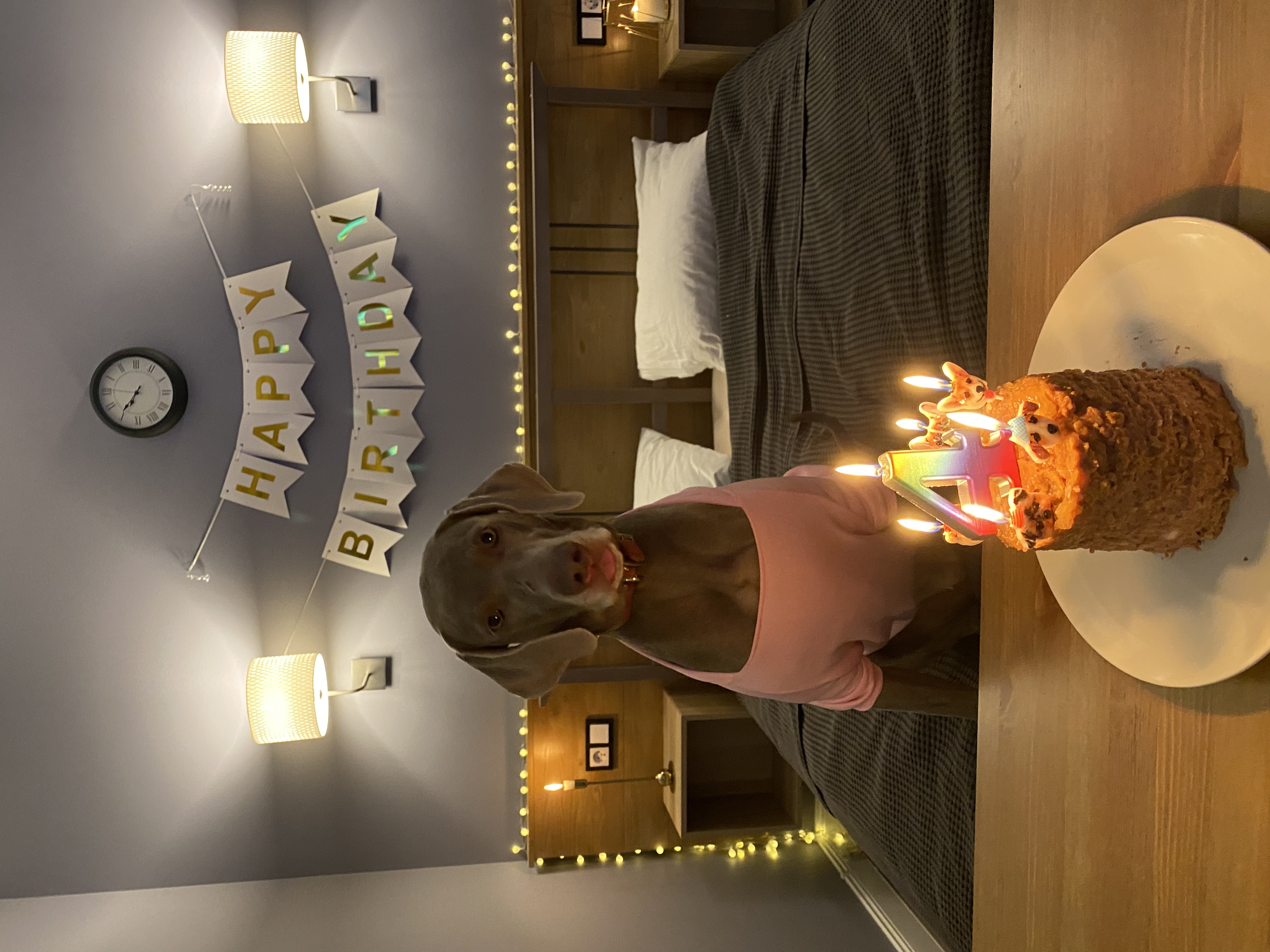 Фото Скандинавия