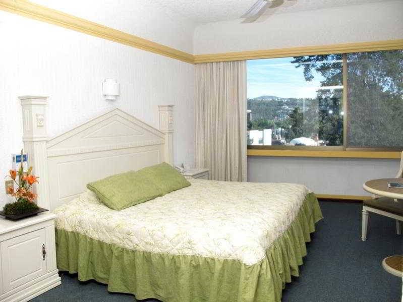 Фото Hotel Diana del Bosque by Dot Urban