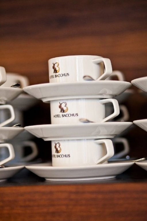 Фото Bacchus Hotel
