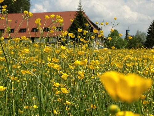 Гостиница AllgäuHotel Hofgut Kürnach