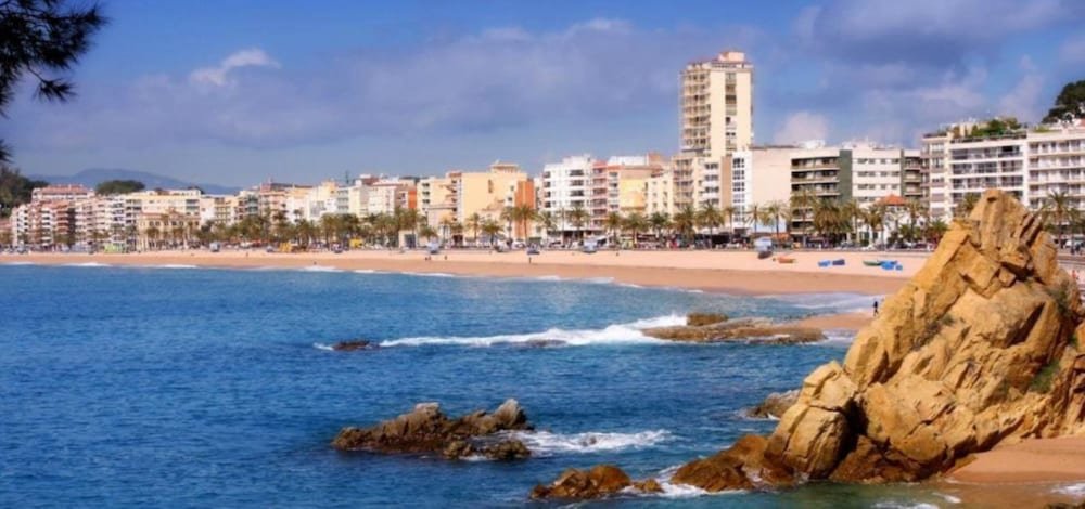 Фото Fenals Garden