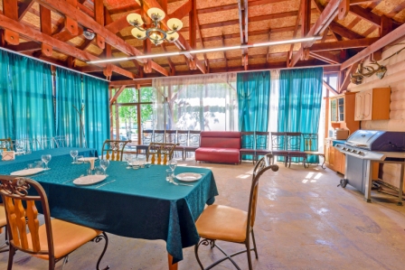 Фото Тополя