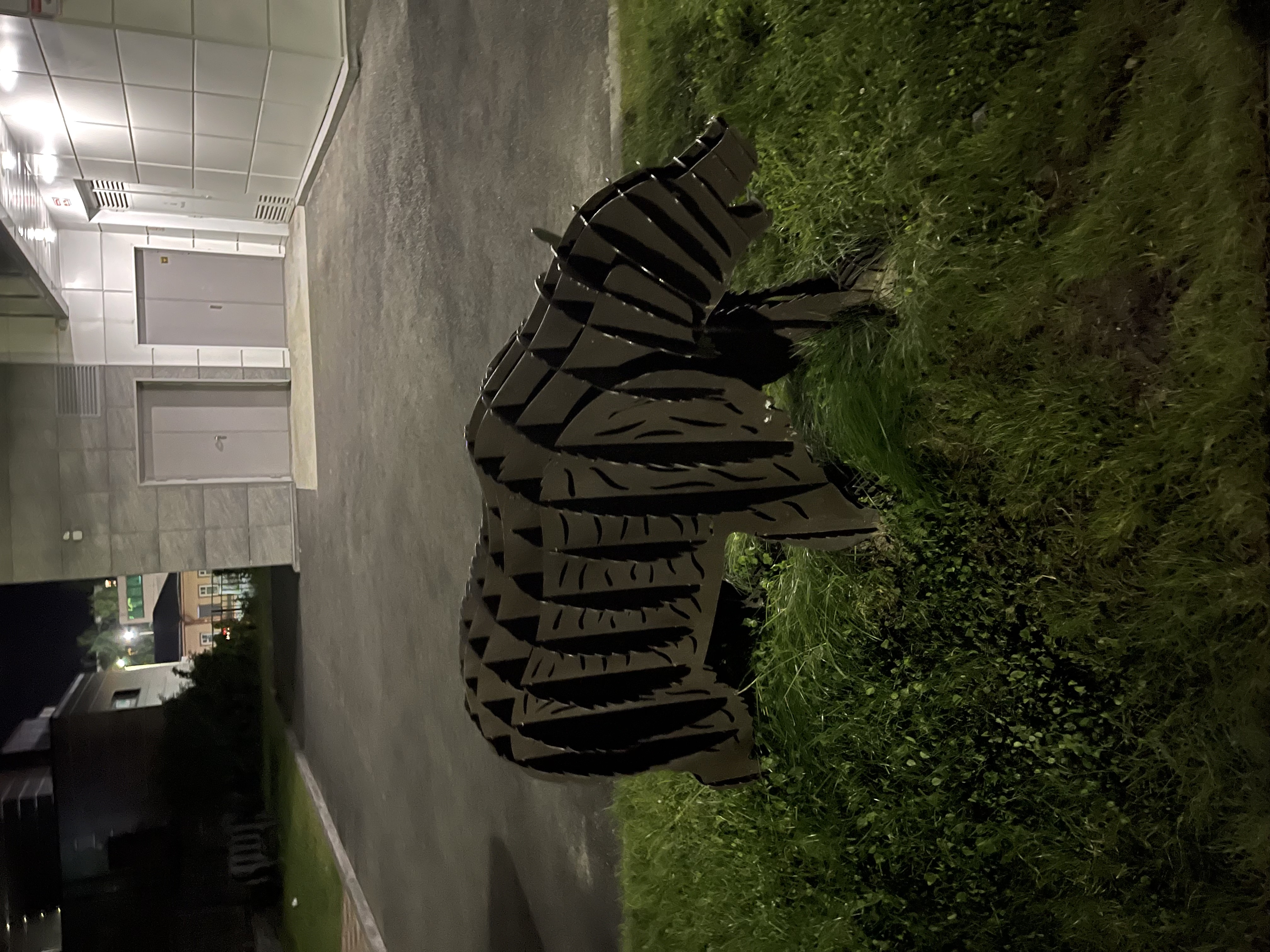 Фото Центральный